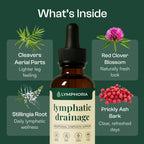 Lymphoria® Lymphatic Drainage Drops